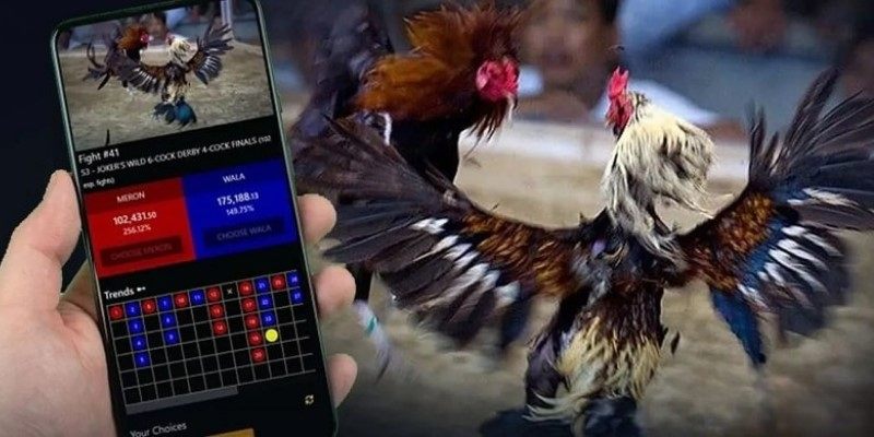 Trực tiếp đá gà online - Trải Nghiệm Hấp Dẫn Và Cơ Hội Kiếm Tiền Đỉnh Nhất Tại Nhà Cái Jun88